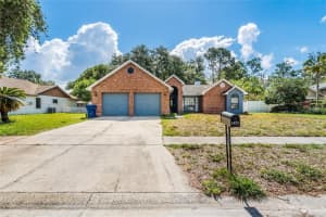 1024 Dockside Dr, LUTZ