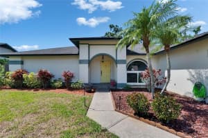1801 SAGEBRUSH ROAD, PLANT CITY, FL 33566 - MLS#MFRTB8387471