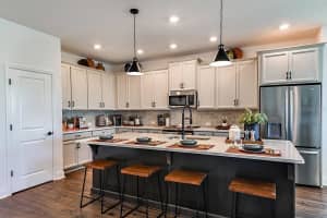 17020 CERCIS LOOP, CLERMONT, FL 34711 - MLS#MFRTB8387518