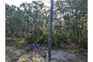 19036 RETRIEVER ROAD, BROOKSVILLE, FL 34614 - MLS#MFRTB8387524