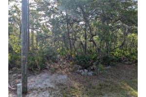 19036 RETRIEVER ROAD, BROOKSVILLE, FL 34614 - MLS#MFRTB8387524