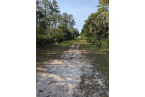 19036 RETRIEVER ROAD, BROOKSVILLE, FL 34614 - MLS#MFRTB8387524
