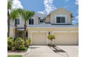 542 HARBOR RIDGE DRIVE, PALM HARBOR, FL 34683 Sold 07/09/25