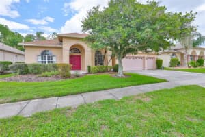 18444 Eastwyck Dr, TAMPA