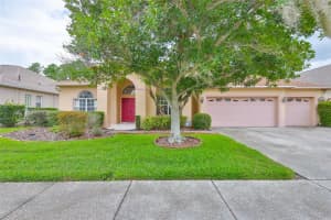18444 EASTWYCK DR, TAMPA, FL 33647 - MLS#MFRTB8387533