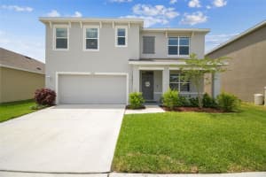 33524 ELM HILL BRANCH, WESLEY CHAPEL, FL 33545 - MLS#MFRTB8387534