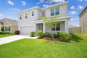 33524 ELM HILL BRANCH, WESLEY CHAPEL, FL 33545 - MLS#MFRTB8387534