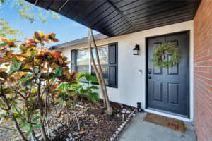 502 TIMBER BAY CIRCLE, OLDSMAR, FL 34677 - MLS#MFRTB8387565