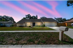 1111 LAKEMONT DRIVE, VALRICO, FL 33594 Sold 07/03/25