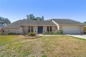 1111 LAKEMONT DRIVE, VALRICO, FL 33594 Sold 07/03/25