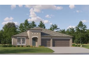 11817 Blue Diamond Trl, PARRISH