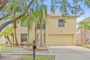 10311 FROG POND DRIVE, RIVERVIEW, FL 33569 - MLS#MFRTB8387611