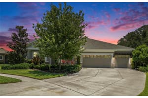 8016 Rock Spring Ct, LAND O LAKES