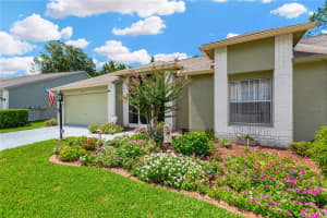 11148 HOLLANDER AVENUE, HUDSON, FL 34667 - MLS#MFRTB8387666