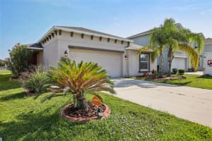 10326 Boggy Moss Dr, RIVERVIEW