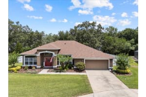 3041 COLONIAL RIDGE DRIVE, BRANDON, FL 33511 Sold 07/31/25