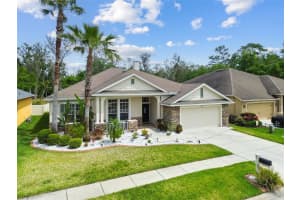 7410 AMBLESIDE DRIVE, LAND O LAKES, FL 34637 - MLS#MFRTB8387766