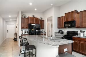 17334 WHITE MANGROVE DRIVE, WIMAUMA, FL 33598 - MLS#MFRTB8387803