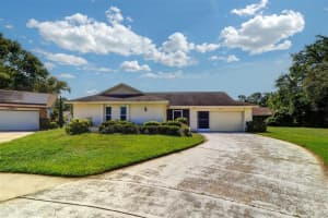 3053 Gregor Ct, PALM HARBOR