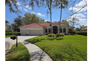 9127 Woodridge Run Dr, TAMPA