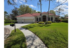 9127 WOODRIDGE RUN DRIVE, TAMPA, FL 33647 - MLS#MFRTB8387817
