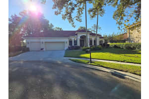 9127 WOODRIDGE RUN DRIVE, TAMPA, FL 33647 - MLS#MFRTB8387817