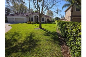 9127 WOODRIDGE RUN DRIVE, TAMPA, FL 33647 - MLS#MFRTB8387817