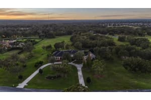 11441 Hammock Oaks Ct, LITHIA 11441 Hammock Oaks Ct, LITHIA