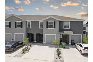 33062 FROSTED CLOVER WAY, WESLEY CHAPEL, FL 33545 - MLS#MFRTB8387845