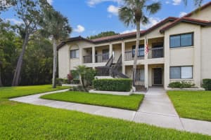 1801 LAKE ROAD, PALM HARBOR, FL 34685 - MLS#MFRTB8387876