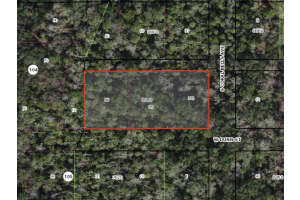 W DUNN, HOMOSASSA, FL 34448 - MLS#MFRTB8387878