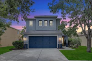 11121 Running Pine Dr, RIVERVIEW