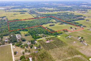 14409 Curley Rd, DADE CITY
