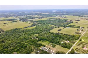14409 CURLEY ROAD, DADE CITY, FL 33525 - MLS#MFRTB8388007
