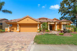 800 BELTED KINGFISHER DRIVE, PALM HARBOR, FL 34683 Sold 06/23/25