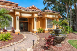 800 BELTED KINGFISHER DRIVE, PALM HARBOR, FL 34683 Sold 06/23/25