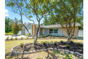 2433 BLIND POND AVENUE, LUTZ, FL 33549 Sold 06/24/25