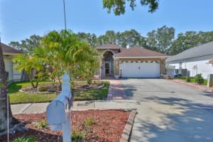 8916 Southbay Dr, TAMPA
