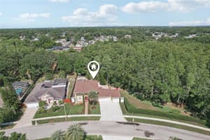 11029 LYNN LAKE CIRCLE, TAMPA, FL 33625 Sold 08/13/25