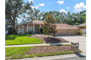 2903 MANOR RIDGE PLACE, VALRICO, FL 33596 Sold 07/28/25