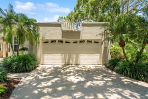 423 FAN PALM COURT, ST PETERSBURG, FL 33703 - MLS#MFRTB8388162