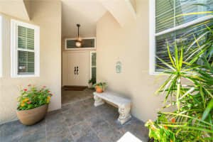 423 FAN PALM COURT, ST PETERSBURG, FL 33703 - MLS#MFRTB8388162