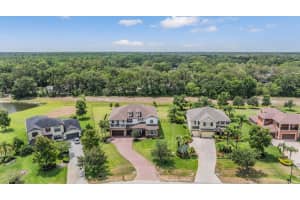 17724 DAISY FARM DRIVE, LUTZ, FL 33559 Sold 07/25/25