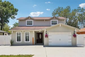 6212 N Grady Ave, TAMPA