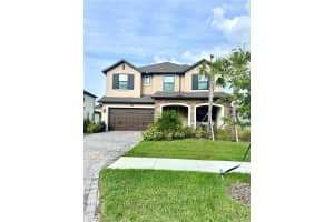 3952 Aldea Way, WESLEY CHAPEL