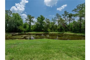 19137 LAKE AUDUBON DRIVE, TAMPA, FL 33647 Sold 07/25/25