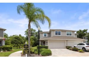 5332 RIVERWALK PRESERVE DRIVE, NEW PORT RICHEY, FL 34653 - MLS#MFRTB8388337