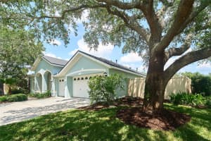 10219 MILLPORT DRIVE, TAMPA, FL 33626 Sold 06/20/25