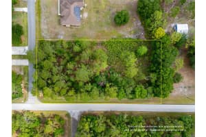 PINE LANDS DRIVE, WESLEY CHAPEL, FL 33544 - MLS#MFRTB8388373