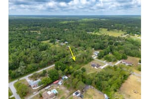 PINE LANDS DRIVE, WESLEY CHAPEL, FL 33544 - MLS#MFRTB8388373
